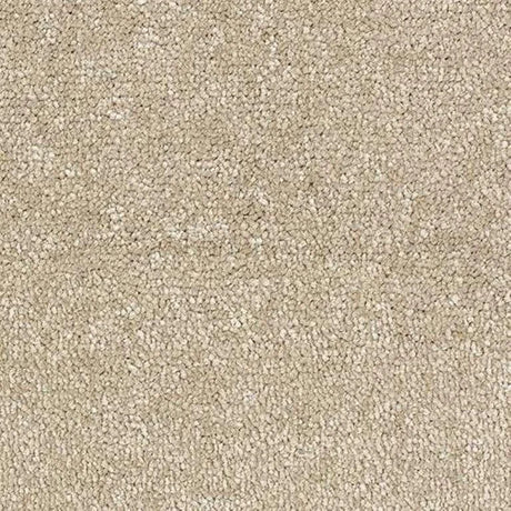 Abingdon Stainfree Satin Touch Carpet Exen Flooring