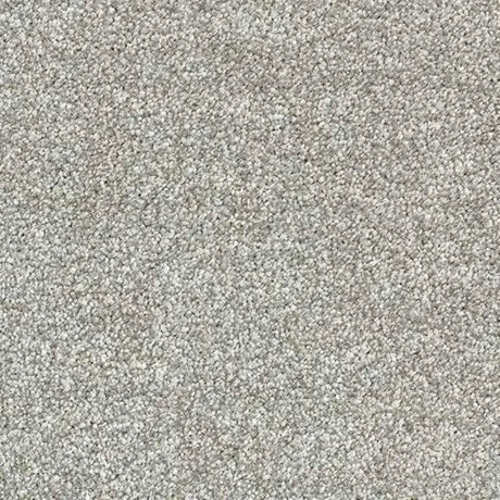 Abingdon Stainfree Satin Touch Carpet Exen Flooring