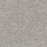 Abingdon Stainfree Satin Touch Carpet Exen Flooring