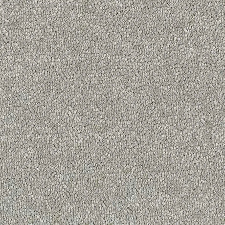 Abingdon Stainfree Satin Touch Carpet Exen Flooring
