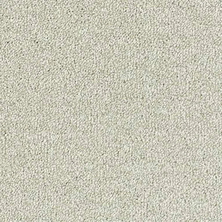 Abingdon Stainfree Sophisticat Carpet Exen Flooring