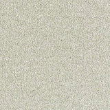 Abingdon Stainfree Sophisticat Carpet Exen Flooring
