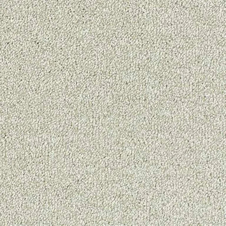 Abingdon Stainfree Sophisticat Carpet Exen Flooring