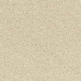 Abingdon Stainfree Sophisticat Carpet Exen Flooring