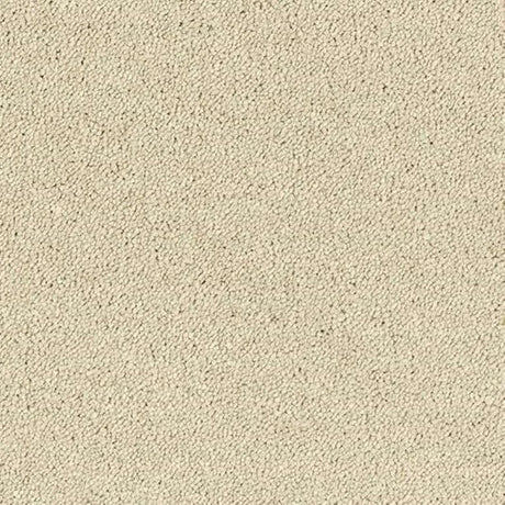Abingdon Stainfree Sophisticat Carpet Exen Flooring