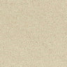 Abingdon Stainfree Sophisticat Carpet Exen Flooring