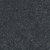 Abingdon Stainfree Sophisticat Carpet Exen Flooring