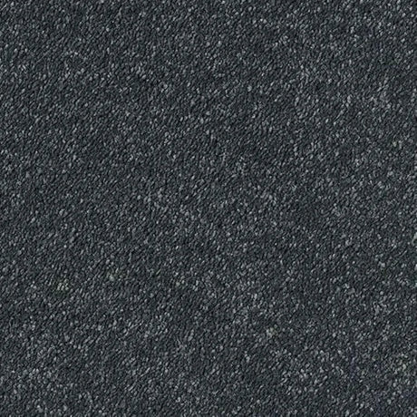 Abingdon Stainfree Sophisticat Carpet Exen Flooring