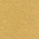 Abingdon Stainfree Sophisticat Carpet Exen Flooring