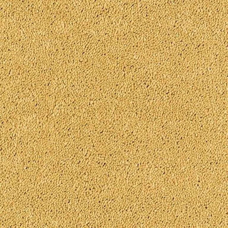 Abingdon Stainfree Sophisticat Carpet Exen Flooring