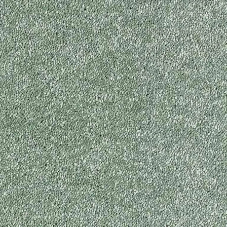 Abingdon Stainfree Sophisticat Carpet Exen Flooring