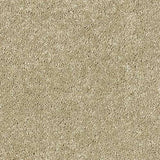 Abingdon Stainfree Sophisticat Carpet Exen Flooring
