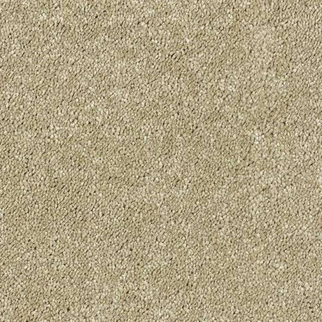 Abingdon Stainfree Sophisticat Carpet Exen Flooring