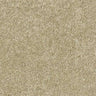 Abingdon Stainfree Sophisticat Carpet Exen Flooring