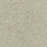 Abingdon Stainfree Sophisticat Carpet Exen Flooring