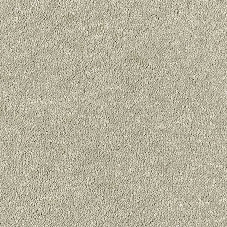 Abingdon Stainfree Sophisticat Carpet Exen Flooring