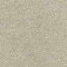 Abingdon Stainfree Sophisticat Carpet Exen Flooring