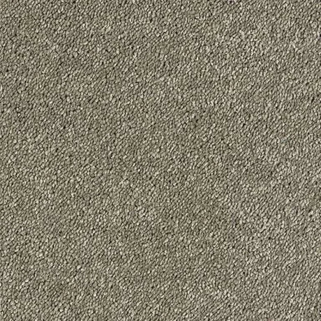 Abingdon Stainfree Sophisticat Carpet Exen Flooring