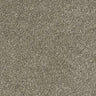 Abingdon Stainfree Sophisticat Carpet Exen Flooring