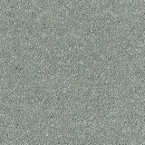 Abingdon Stainfree Sophisticat Carpet Exen Flooring