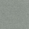 Abingdon Stainfree Sophisticat Carpet Exen Flooring
