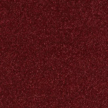Abingdon Stainfree Sophisticat Carpet Exen Flooring