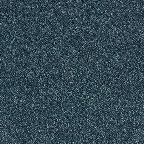 Abingdon Stainfree Sophisticat Carpet Exen Flooring
