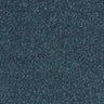 Abingdon Stainfree Sophisticat Carpet Exen Flooring