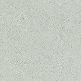 Abingdon Stainfree Sophisticat Carpet Exen Flooring