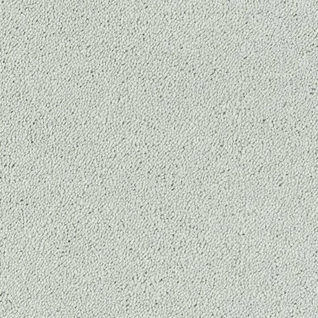 Abingdon Stainfree Sophisticat Carpet Exen Flooring