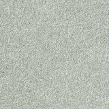 Abingdon Stainfree Sophisticat Carpet Exen Flooring