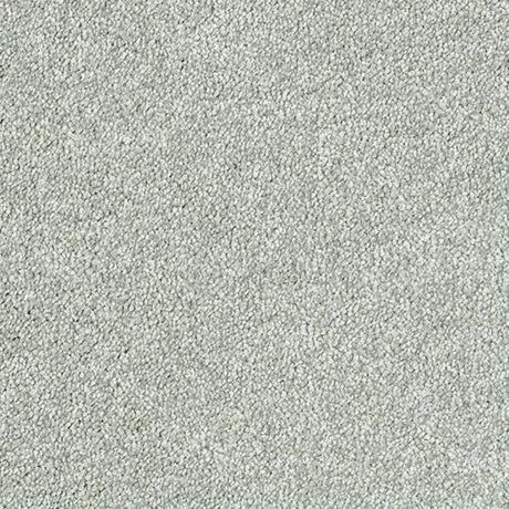 Abingdon Stainfree Sophisticat Carpet Exen Flooring