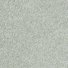 Abingdon Stainfree Sophisticat Carpet Exen Flooring
