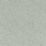Abingdon Stainfree Sophisticat Carpet Exen Flooring