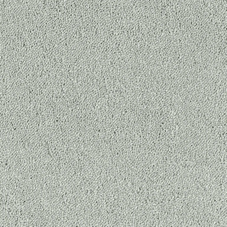 Abingdon Stainfree Sophisticat Carpet Exen Flooring