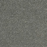 Abingdon Stainfree Sophisticat Carpet Exen Flooring