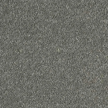 Abingdon Stainfree Sophisticat Carpet Exen Flooring