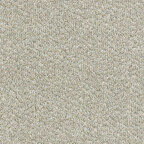 Abingdon Stainfree Tweed Carpet Exen Flooring
