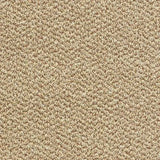 Abingdon Stainfree Tweed Carpet Exen Flooring