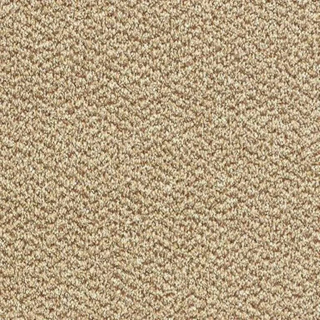 Abingdon Stainfree Tweed Carpet Exen Flooring