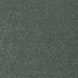 Abingdon Stainfree Twist Carpet Exen Flooring