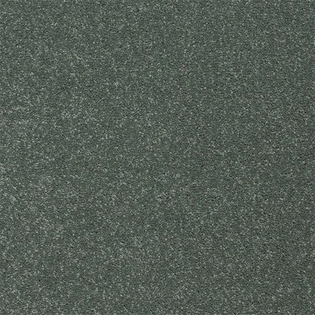 Abingdon Stainfree Twist Carpet Exen Flooring