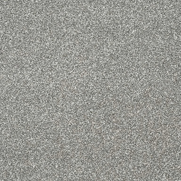 Abingdon Stainfree Twist Carpet Exen Flooring