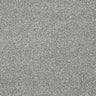 Abingdon Stainfree Twist Carpet Exen Flooring