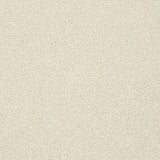 Abingdon Stainfree Twist Carpet Exen Flooring