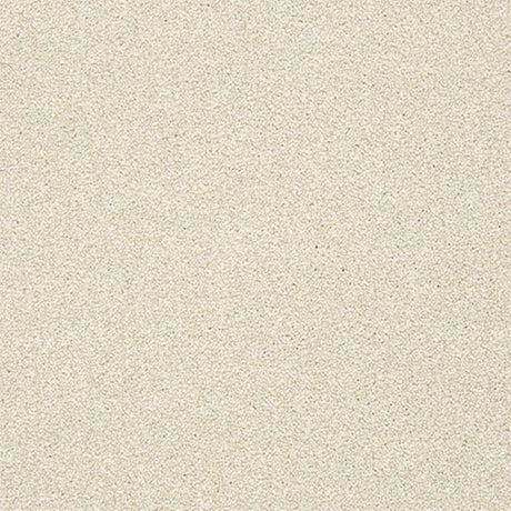 Abingdon Stainfree Twist Carpet Exen Flooring