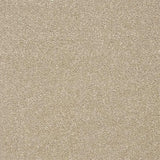 Abingdon Stainfree Twist Carpet Exen Flooring