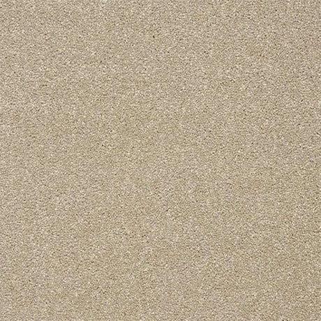 Abingdon Stainfree Twist Carpet Exen Flooring
