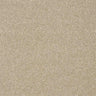 Abingdon Stainfree Twist Carpet Exen Flooring