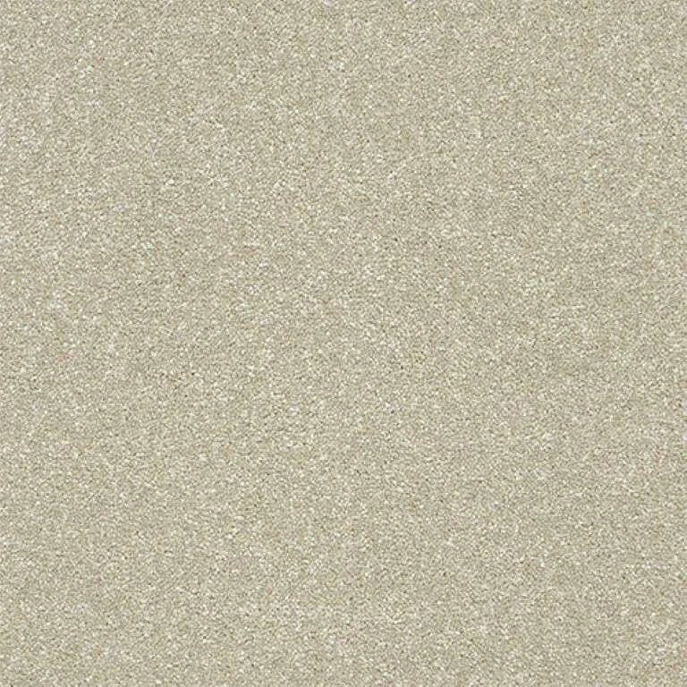 Abingdon Stainfree Twist Carpet Exen Flooring